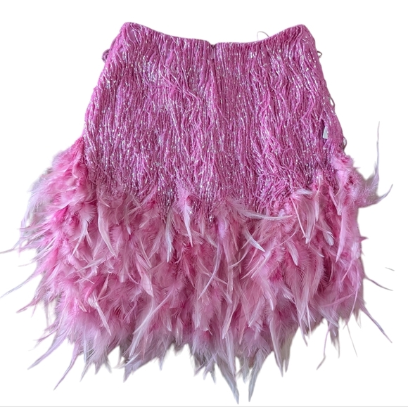 NWT Nadine Merabi Sara Pink Beaded Fringe Feathered Skirt Size XS/2 - Picture 6 of 13